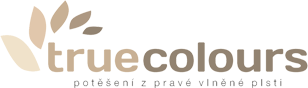 Primary Raster logo